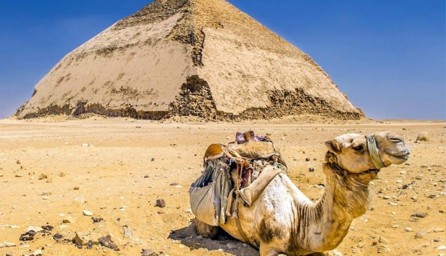 Tour operator and transportation company