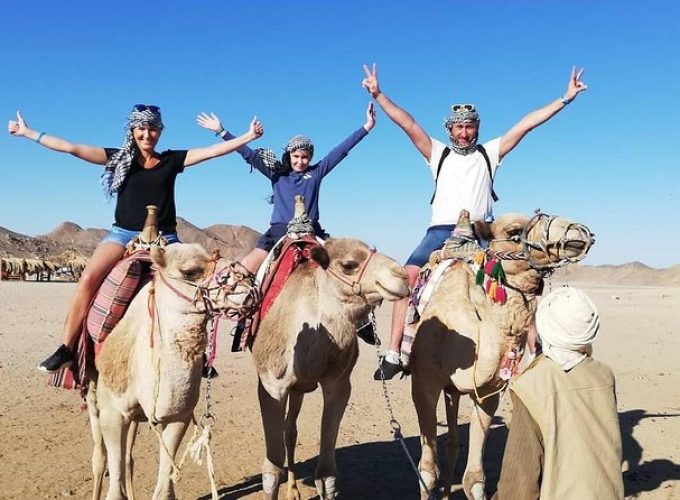 Tour operator and transportation company