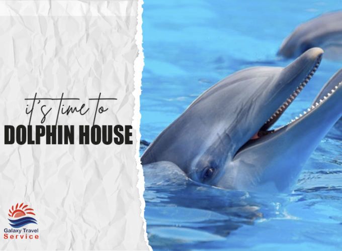 Tour operator and transportation company