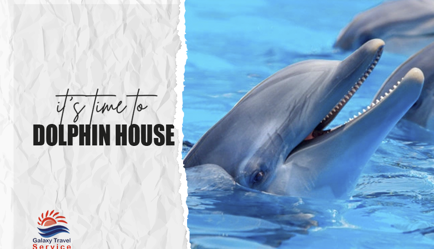 Tour operator and transportation company