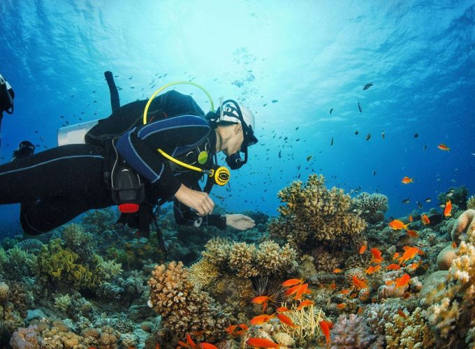 Tour operator and transportation company