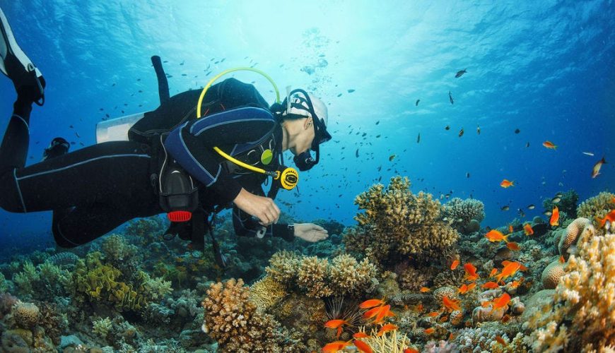 Red Sea diving trip in Hurghada